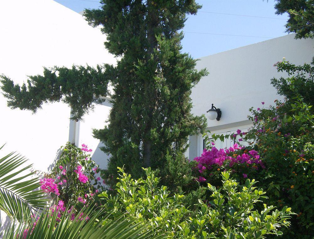 Sunshine Crete Village Koutsounari Exterior photo